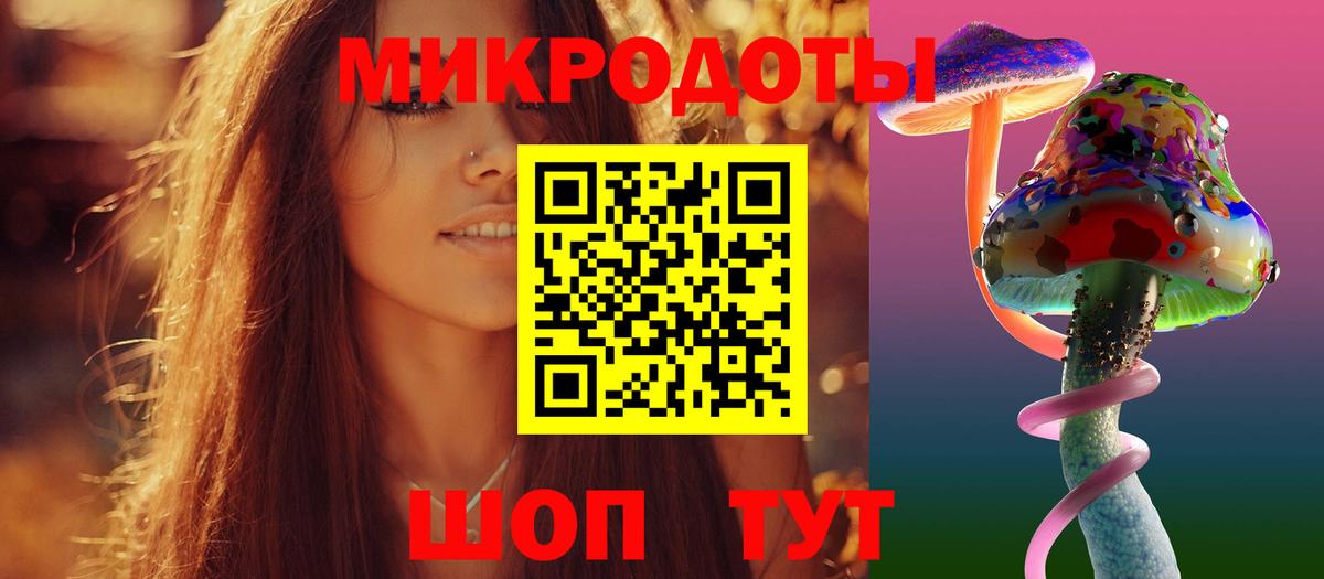 Галлюциногенные грибы Psilocybe  Галлюциногенные грибы прущие грибы  Белово  Вход с VPN 